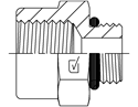 Picture of BPF-UNM