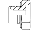 Picture of BPM-TWF