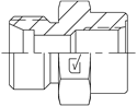 Picture of MLM-MSF