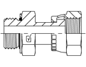 Picture of MSM-ORF