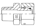 Picture of NTM-MLF