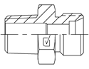 Picture of NTM-MLM