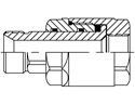 Picture of SWV-T-BPM-BPF